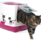 Tout à propos de porter pour les chats