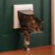 Choisir une porte aux toilettes pour le chat