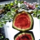 Tourmaline pastèque: description de la pierre, de ses propriétés et de son utilisation