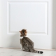 Mi a teendő, hogy a macskák ne jelöljék meg a bejárati ajtót?