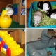 Jouets pour rats: espèces, conseils pour choisir et créer