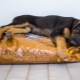 Comment et quoi nourrir les chiens de berger?