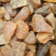 Comment se forme l'ambre dans la nature?
