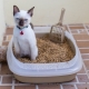 Comment choisir et utiliser un plateau à treillis pour chat?