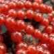 Agate rouge: description et portée