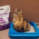 Kissanhiekka huuhdellaan wc: stä