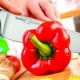 Couteaux Tefal: caractéristiques et révision des modèles