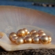 Perles de rivière: caractéristiques, propriétés et différences par rapport à la mer