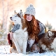 Red Husky: color and content