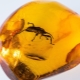 Combien coûte l'ambre?