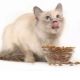Nourriture sèche pour chats stérilisés: propriétés, fabricants, choix et régime
