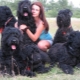 Black Terrier: description de la race et secrets du contenu
