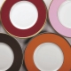 Couleurs des plaques: options possibles et caractéristiques de sélection