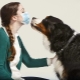 Hypoallergén kutyák: a népszerű fajták listája