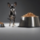 Nourriture pour un terrier: que sont-ils et comment choisir?
