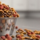 Bols pour chiens: comment choisir et où placer?
