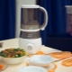 Blender Steamer: Qu'est-ce que c'est, marques et choix