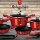 Plats Berlinger Haus: caractéristiques, avantages et inconvénients