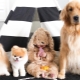 Les chiens les plus mignons: traits communs, top des meilleures races, choix et soin