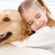 Chiens pour enfants: description et sélection des races