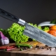 Couteaux de cuisine japonais: types, règles de choix et d'entretien