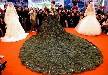 Robe chic en plumes de paon