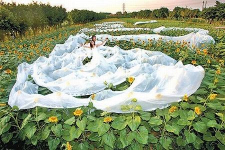 La plus longue robe de mariée