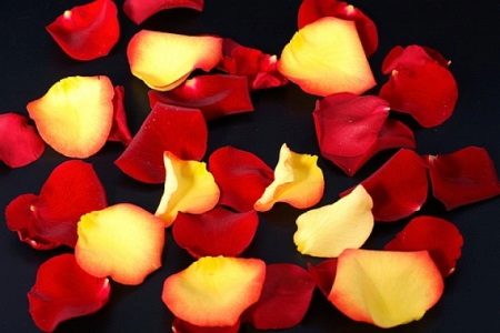 Padrão de flor de pano